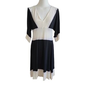 Elegant Black and White V-Neck Dress